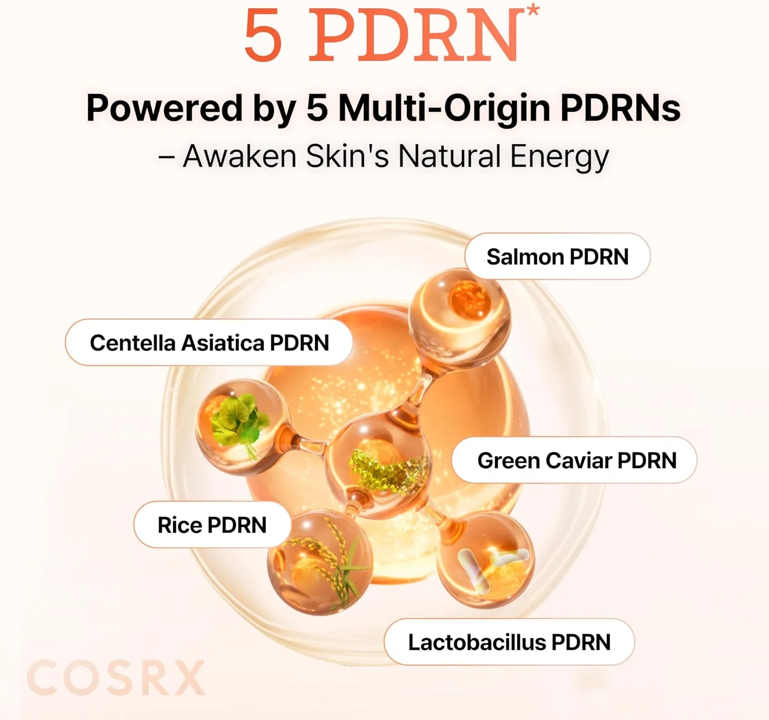 COSRX 5 PDRN B5 Vital Soothing Toner 280ml - Image 5