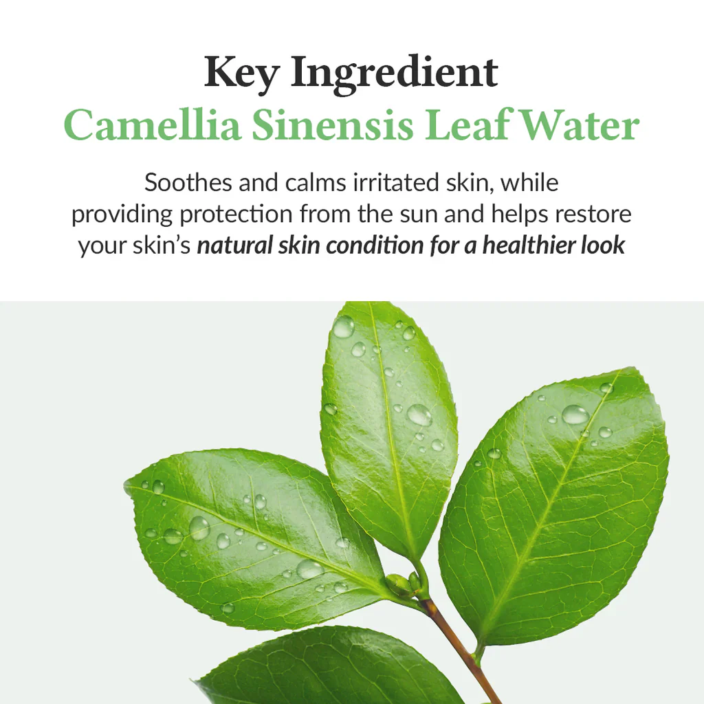 DR.ALTHEA Green Tea Fresh Sunscreen 45ml - Image 4