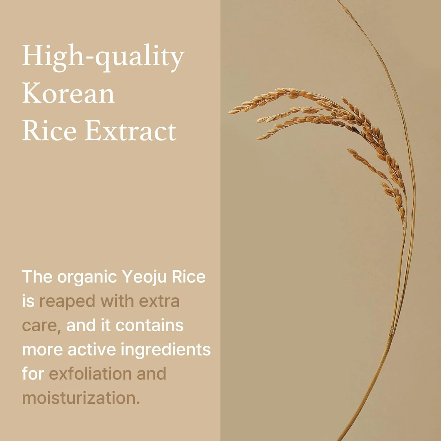 IM FROM Rice Sheet Mask (1ea) - Image 5